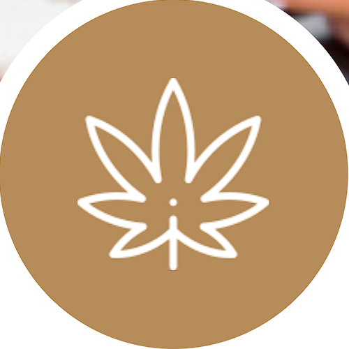 Drug Offenses